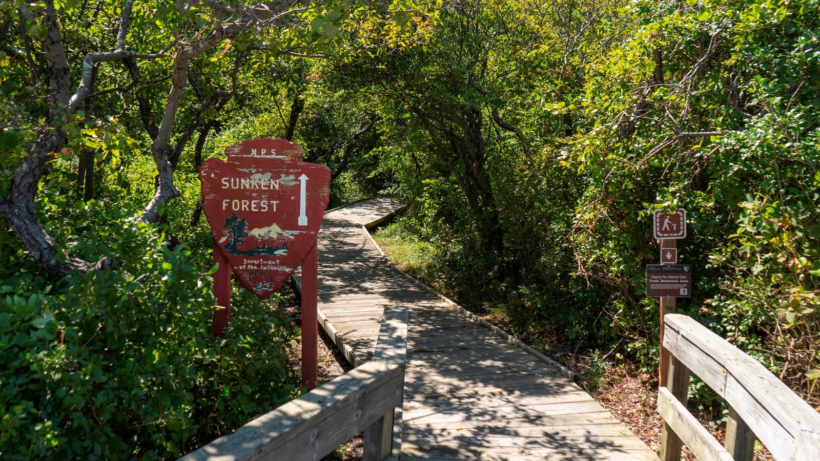 sunken forest nature trail trailhead